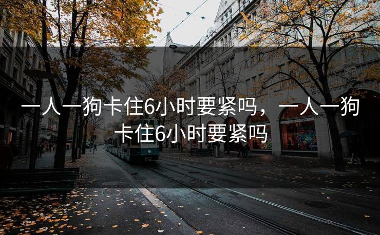 一人一狗卡住6小时要紧吗，一人一狗卡住6小时要紧吗