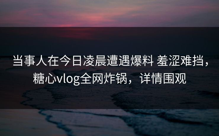 当事人在今日凌晨遭遇爆料 羞涩难挡，糖心vlog全网炸锅，详情围观